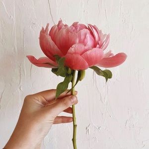 Open to offers. Bundle items to save more. xoxo~